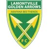 金色梦想